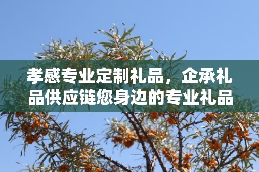 孝感专业定制礼品，企承礼品供应链您身边的专业礼品定制公司